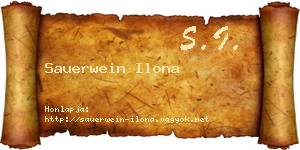 Sauerwein Ilona névjegykártya